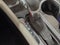 2020 Buick Envision Preferred