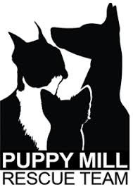 VanDevere Automotive Family in Akron OH